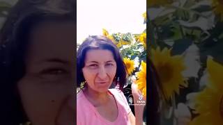 Zizelasusomejak Hit Video