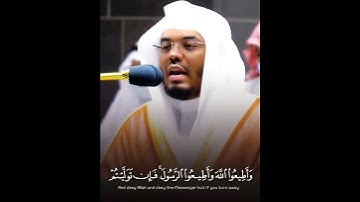 تلاوة رائعة للشيخ ياسر الدوسري من سورة التغابن