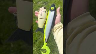 This is why you throw big baits!