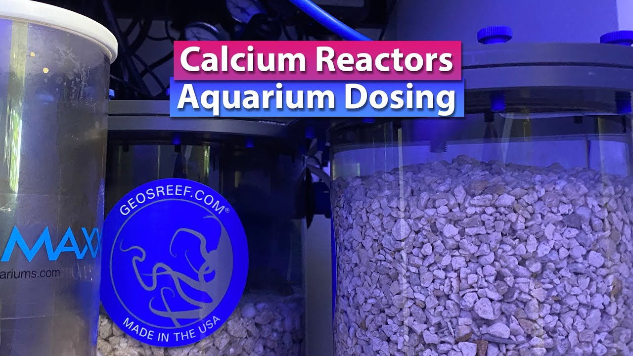 Common Errors In Calcium Dosing For Saltwater Tanks preview