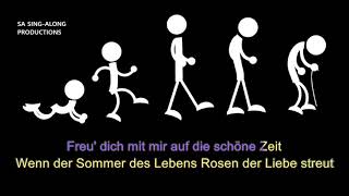 Sing doch mit... "Du kannst nicht immer 17 sein" (Chris Roberts)
