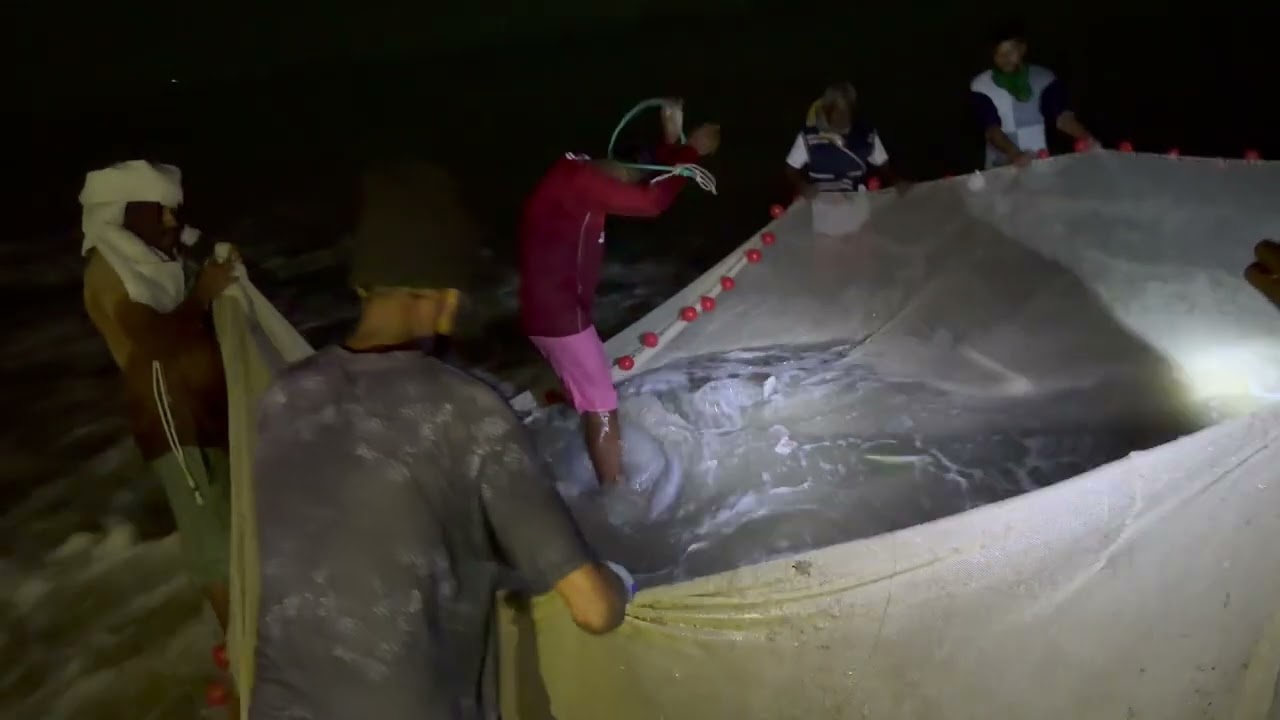 “Beautiful but dangerous — jellyfish at Cox’s Bazar sea beach.”