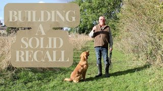 Do THIS with your dog for SOLID recall...