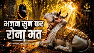 तेरे दर पे आया हूँ 😭 | Emotional Mahadev Bhajan 2026 | Shiv Bhajan | Har Har Mahadev