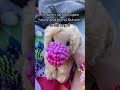 #essa #emotionalsupportstuffedanimal #essacommunity #ezraishungry #puppy