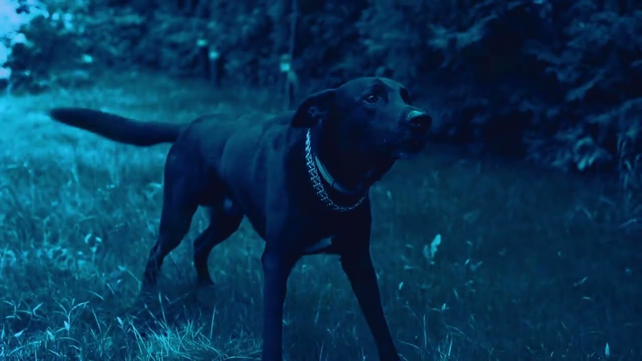 Gregorov - Pustite mi, da si zamenjam obraz