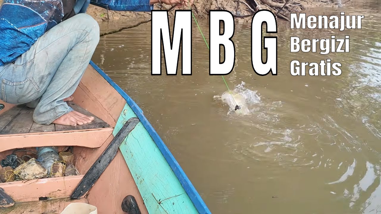 malam ditanam, PAGI sudah membesar siap panen