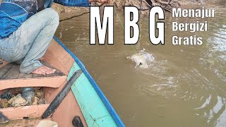 malam ditanam, PAGI sudah membesar siap panen