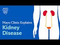 Mayo clinic explains kidney disease