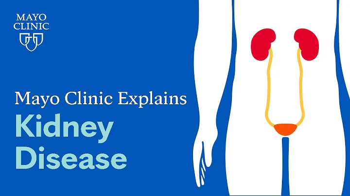 Mayo Clinic Explains Kidney Disease - DayDayNews