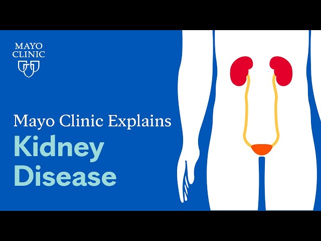 Mayo Clinic Explains Kidney Disease class=