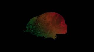 Thaba - Resilient