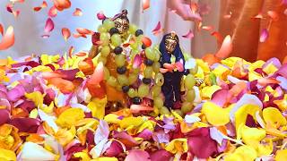 Abhishek of Sri Sri Radha & Krishna on Janmastami 2026 | The Divine Appearance Day of Lord Krishna
