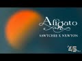 Aligato  sawtchee x nxwton  le 45 tour 1