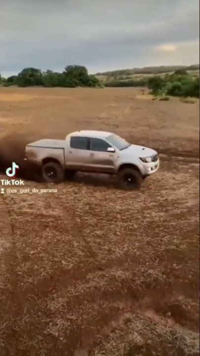 OS MENINO DA PECUÁRIA #STATUS