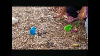 Study Abroad Film Project 2012 [Tori S]