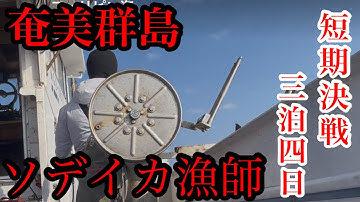【短期決戦】三泊四日のソデイカ漁に挑む奄美群島の漁師の闘い