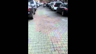 Suriyeli Çocuklar Dans Ederken