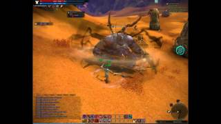 Tera Kuma solo lvl24 warrior