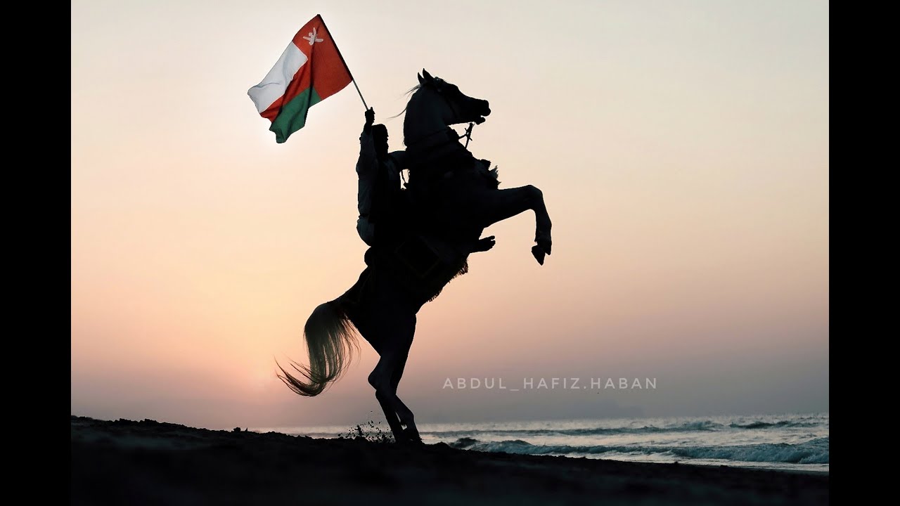 طريقه طرد الذباب من الخيل والقضاء عليه ، نشوان البداير