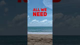 All We Need 