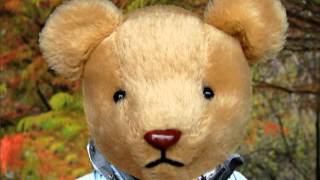 Capture_20100920.wmv