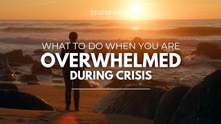 What to Do When You Are Overwhelmed During Crisis