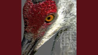Beak (Original Mix)