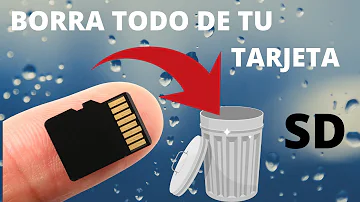 ¿Si quito la tarjeta SD se borra todo?