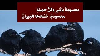 دخان فوق الخليج العربيّ والأردن- حوار بين طفل عربي ووالده- شعر: محمد جربوعة