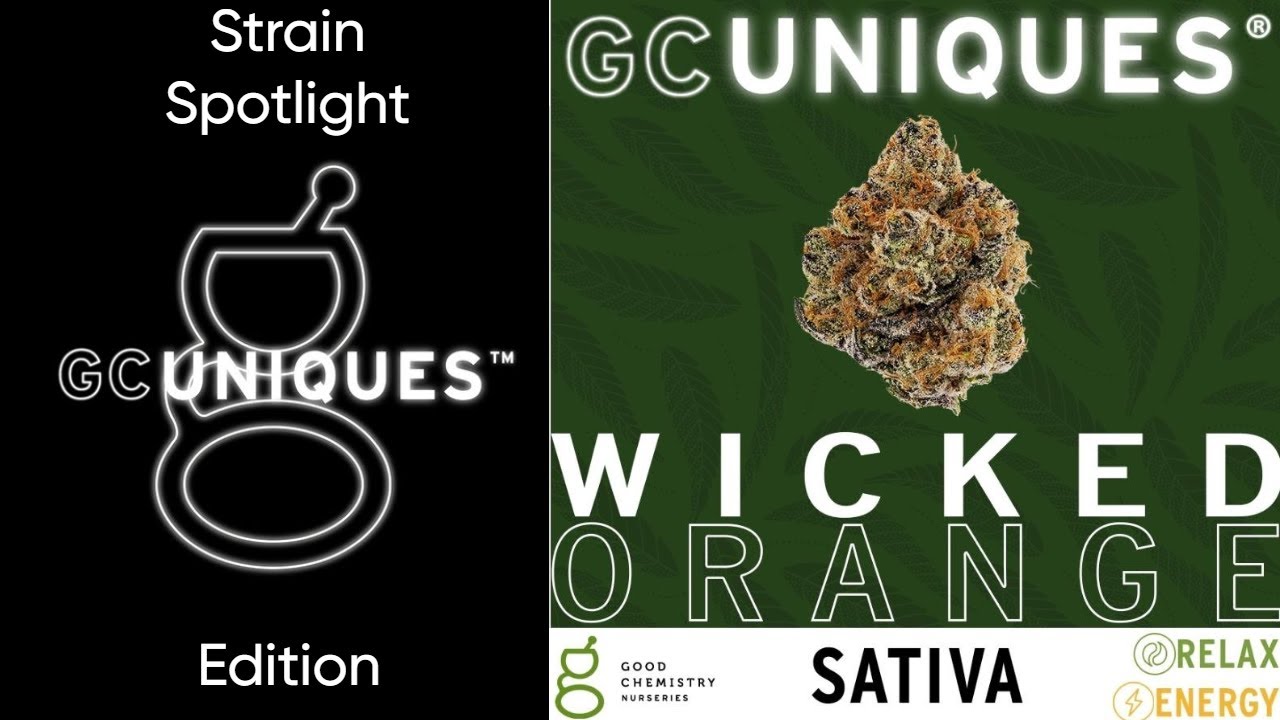 Wicked Orange - Strain Spotlight - GC Uniques Edition