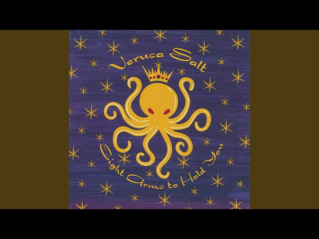 Veruca Salt - The Morning Sad