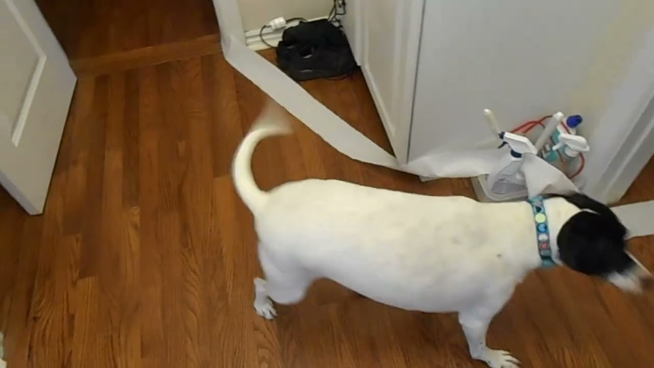 Воспоминания о Дотти