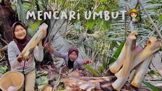 Wandering Around Looking For Grass adventure minivlog adayinmylife