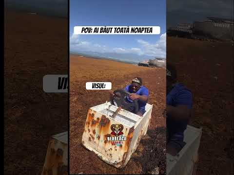 Visul Berbeacu Viralvideo Funny Memes Shorts Comedy Fyp Trending 