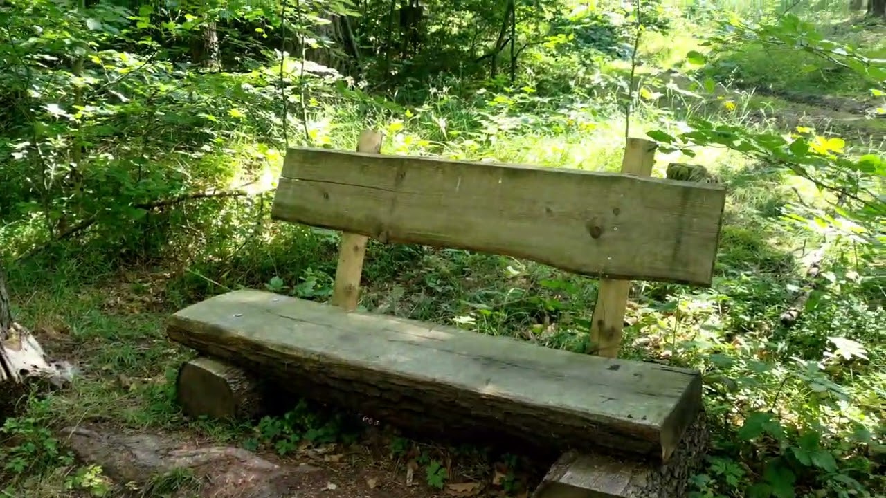 Vidoprocházky lesem - Vlog - vzpomínka na krásný červnový den - Lísek u Berouna by Iveta Honzová