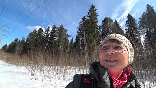 Пошли в лес. Жарим крылышки.(2)13 апреля 2019г Пошли в лес. Жарим крылышки.(2)13 апреля 2019г