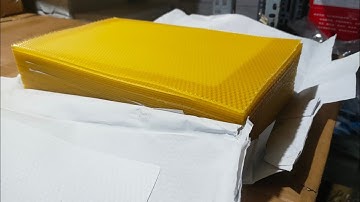 Chia Sẻ Chân Tầng Ong Nội Loại Tốt- Chân Tầng Loại 1