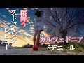 【ストッキング&パンプスレビュー】『CALZEDONIA』カルツェドニアの『セカンドスキン8デニール』ブロンズ履いてお散歩してみた感想など