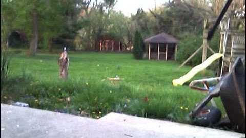 Shooting Silly String With BB Gun