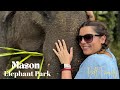 Mason Elephant Park &amp; Lodge in Bali 2024 | Pall Family With @DreiWhoGames