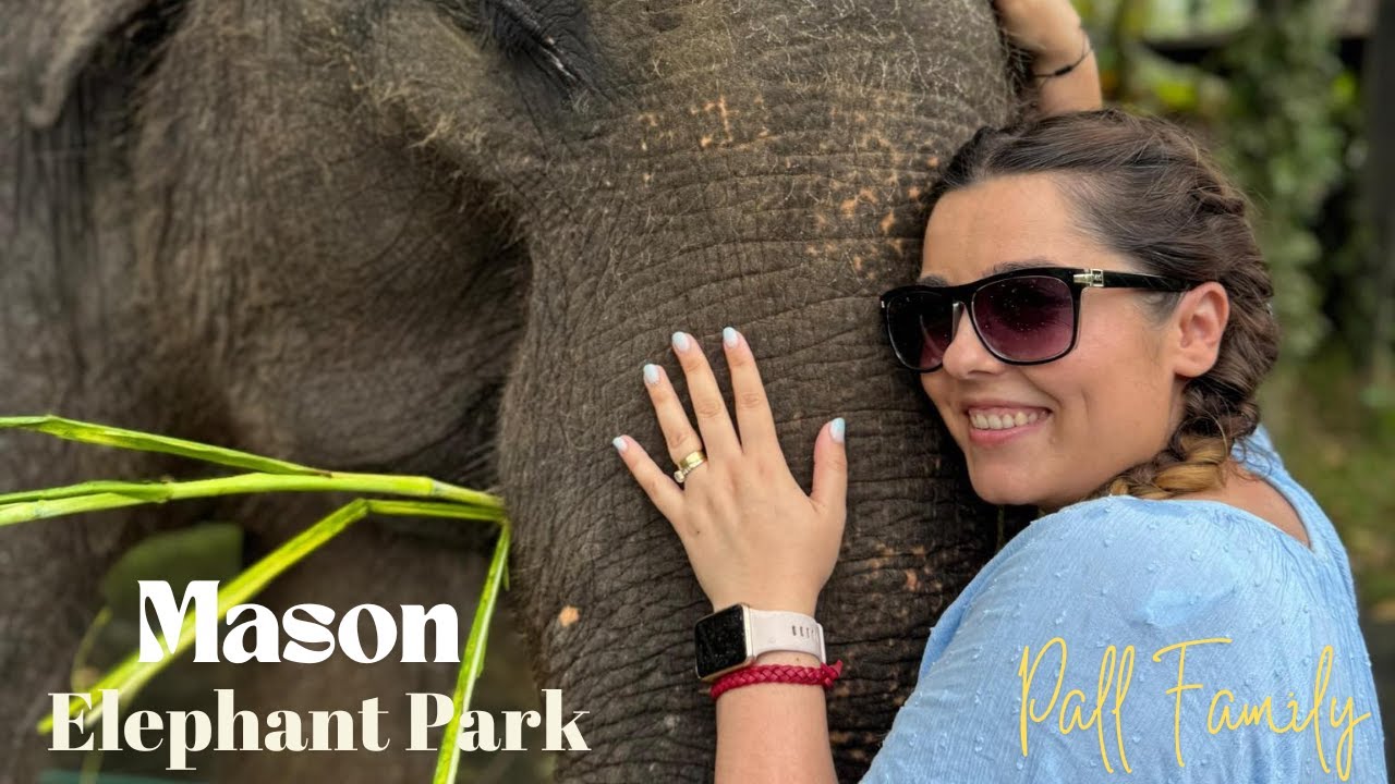 Mason Elephant Park & Lodge in Bali 2024 | Pall Family With @DreiWhoGames