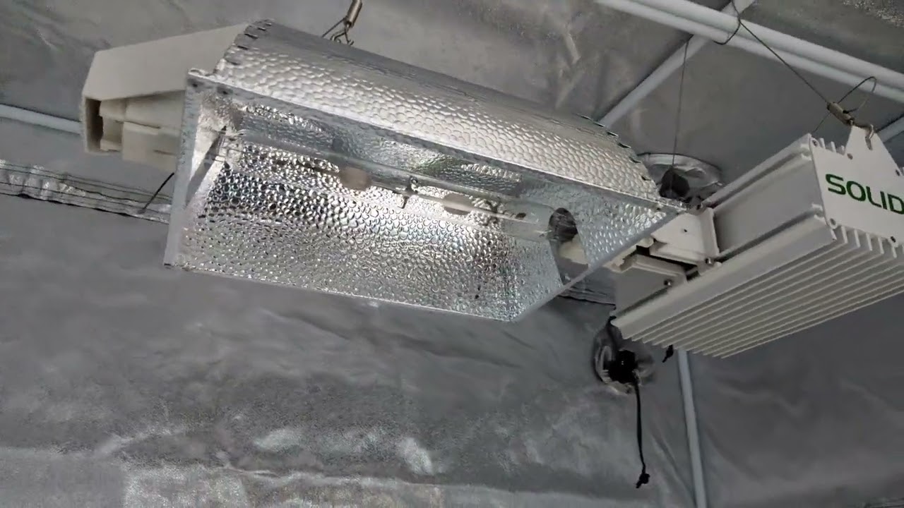 LEC 630W double ended grow light