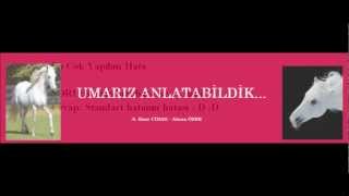 Standart Sapma mı Standart Hata mı Sorunsalı?