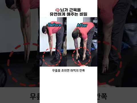 뇌가 근육을 유연하게 해주는 비밀 thumbnail