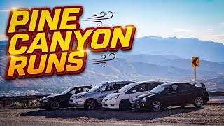 Pine Canyon Runs !