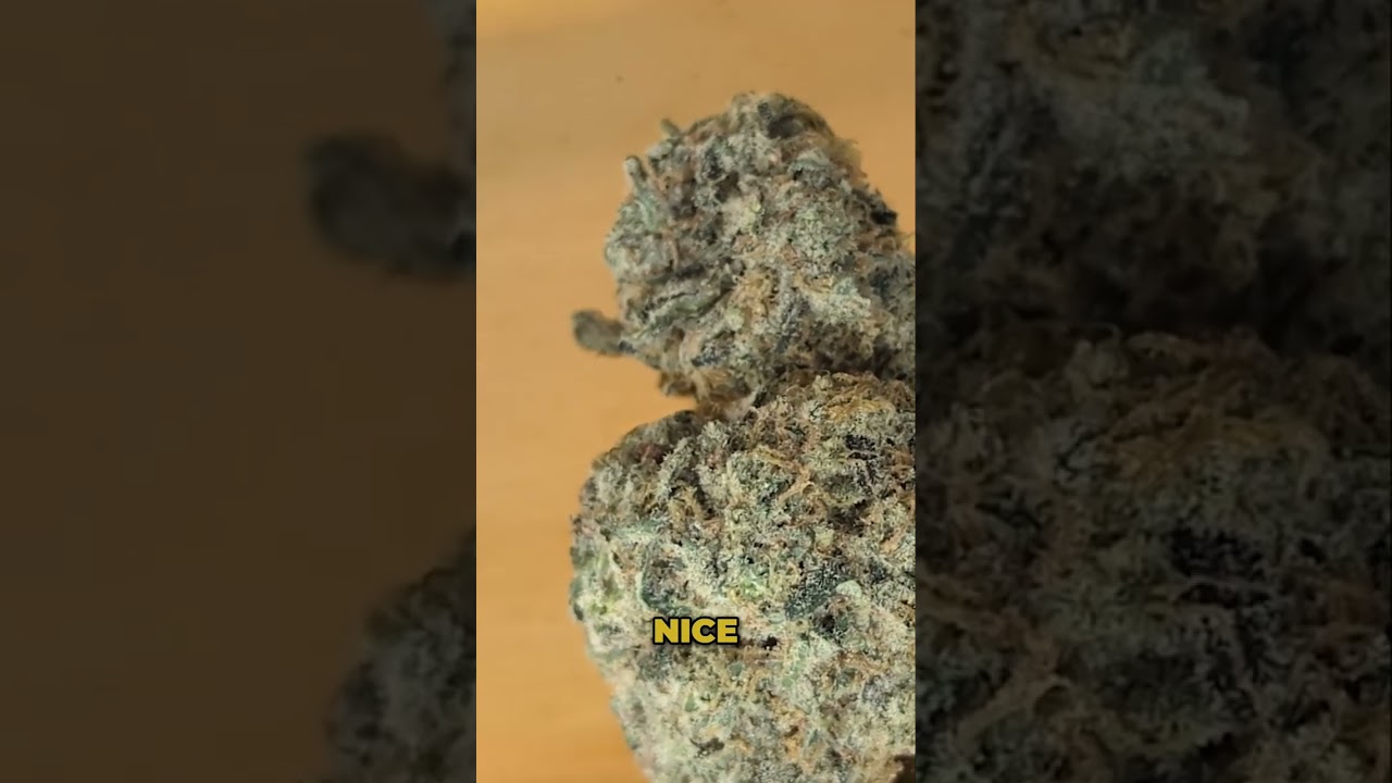 Pineapple Upside-Down Cake Cannabis: Does it ACTUALLY Taste Good?