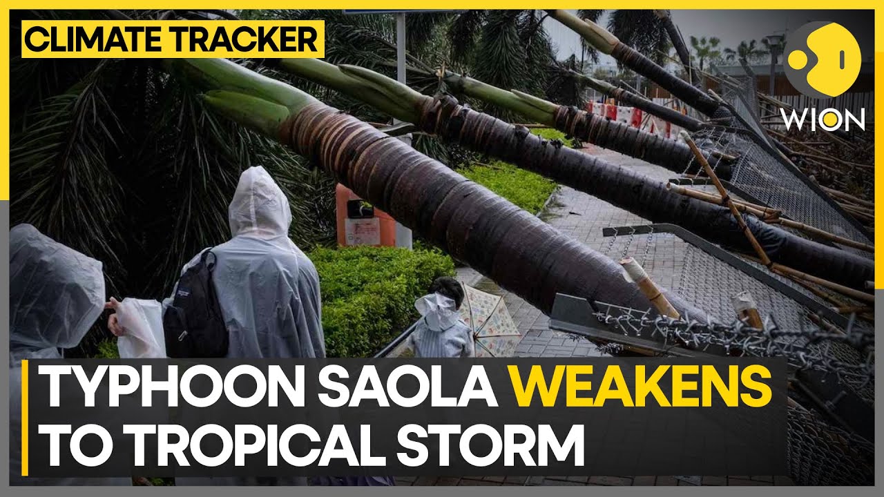 Typhoon Saola heads towards Beibu gulf | WION Climate Tracker