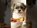 GREEK: Kitty and puppy #shorts #cuteanimals #learngreek