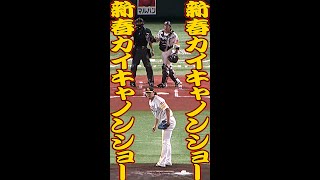 【縦】新春甲斐キャノンショー